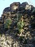 Mangup Kale24.JPG - 
